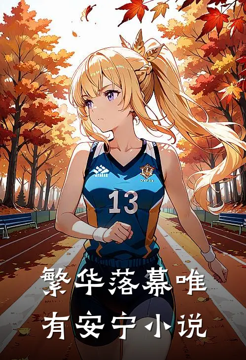 繁华落幕唯有安宁小说