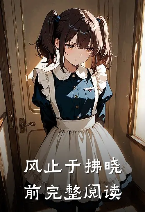 风止于拂晓前完整阅读