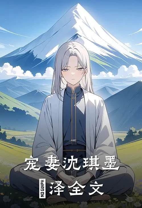 宠妻沈琪墨璟泽全文