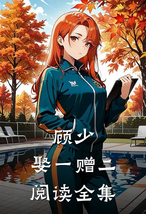 顾少,娶一赠二阅读全集