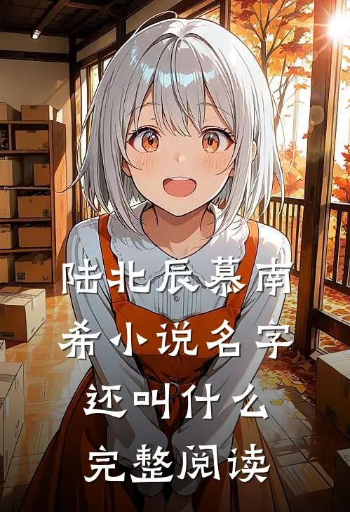 陆北辰慕南希小说名字还叫什么完整阅读
