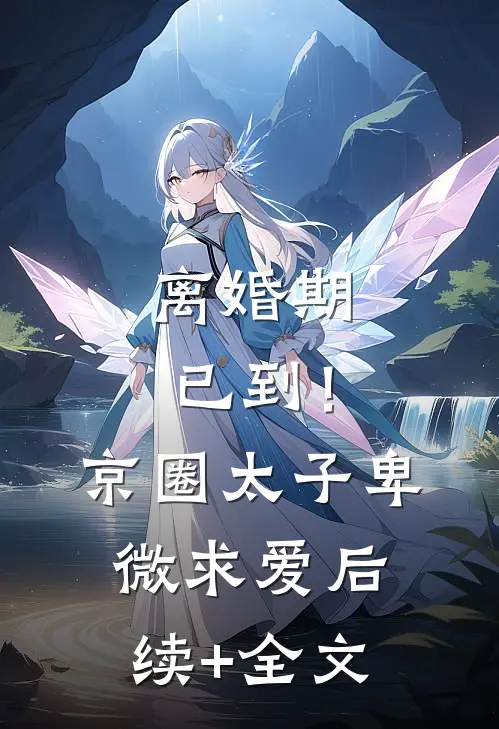 离婚期已到！京圈太子卑微求爱后续+全文