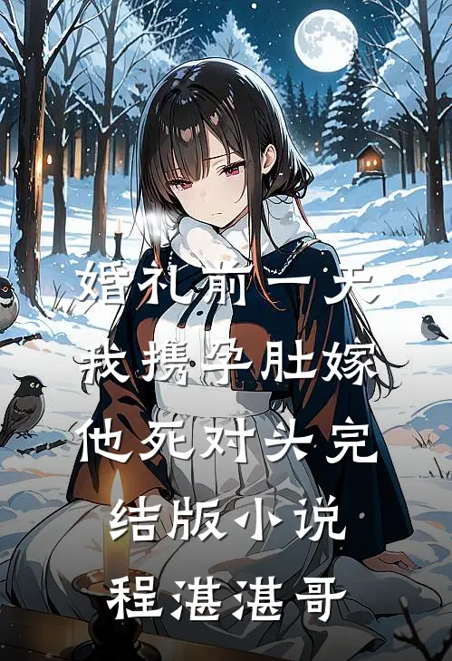 婚礼前一天，我携孕肚嫁他死对头完结版小说程湛湛哥