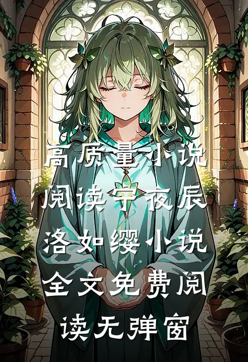 高质量小说阅读宁夜辰洛如缨小说全文免费阅读无弹窗