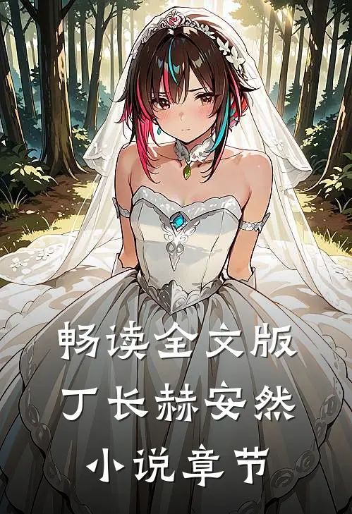 畅读全文版丁长赫安然小说章节