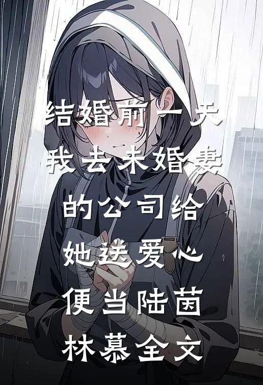 结婚前一天，我去未婚妻的公司给她送爱心便当陆茵林慕全文