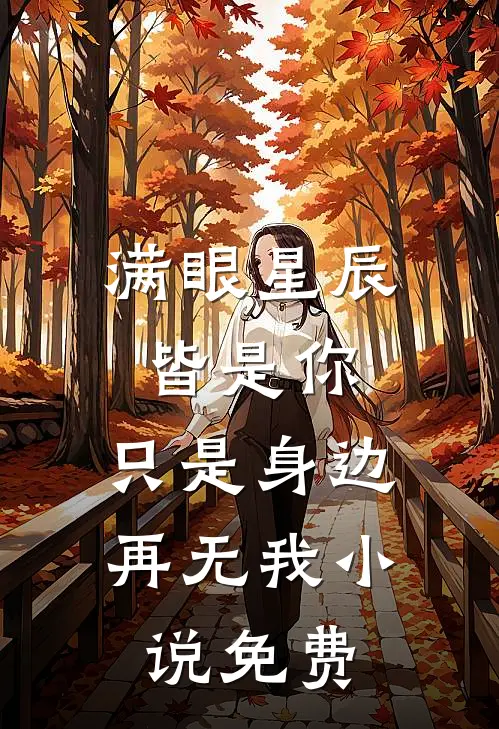 满眼星辰皆是你,只是身边再无我免费阅读