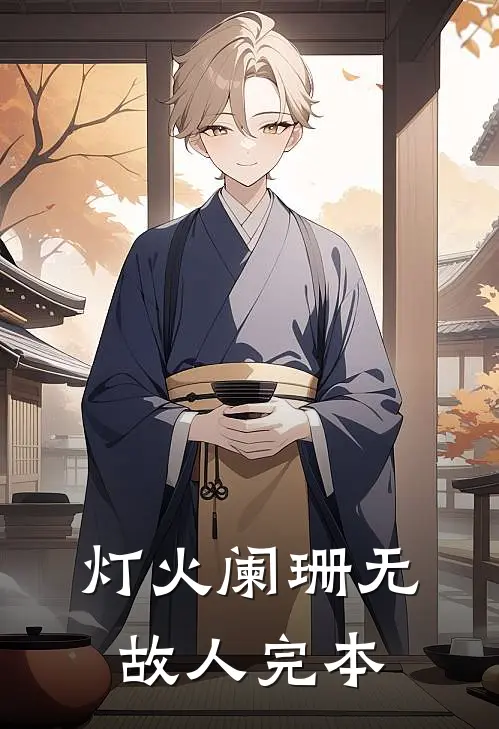 灯火阑珊无故人完本