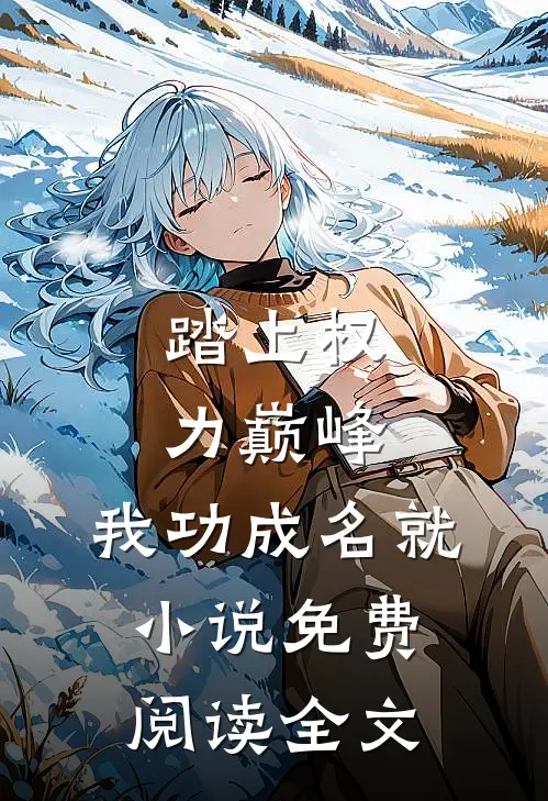 踏上权力巅峰，我功成名就小说免费阅读全文
