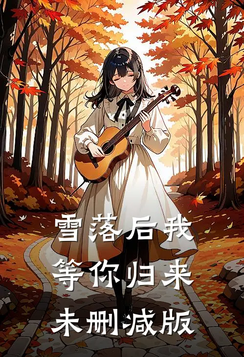 雪落后我等你归来未删减版